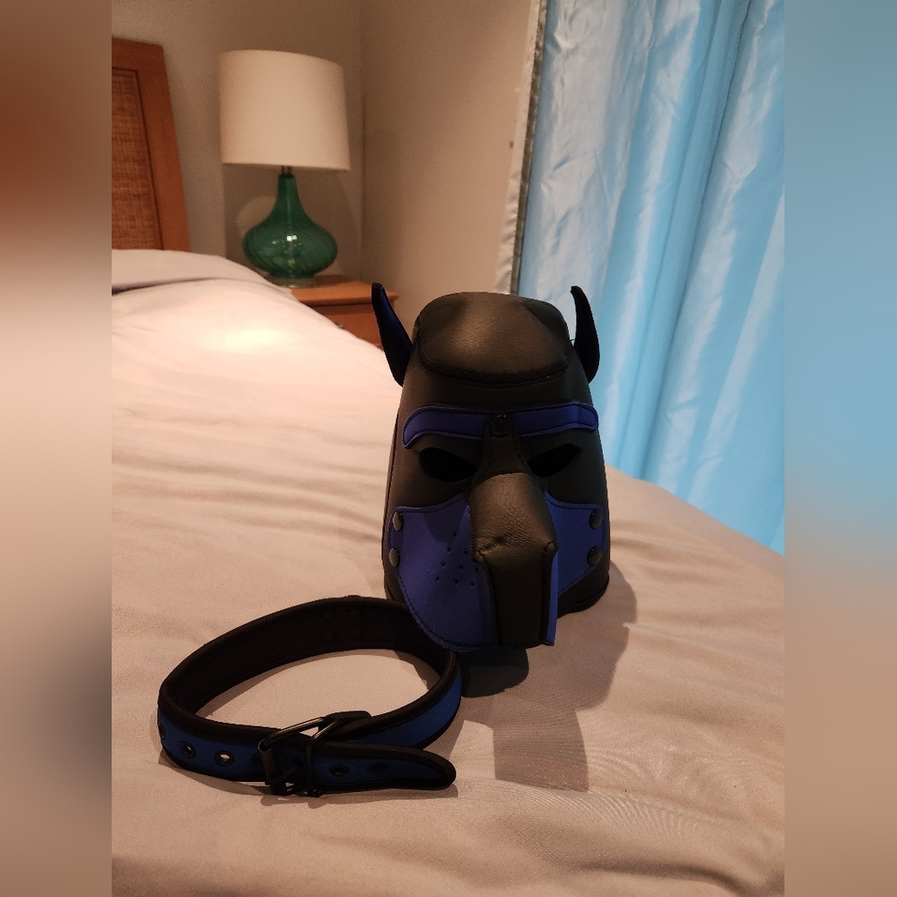 Mens Dog Pup Mask And Collar - Fantasy Novelty Headpiece And Collar Piece